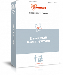 Вводный видеоинструктаж по охране труда (фильм/курс)