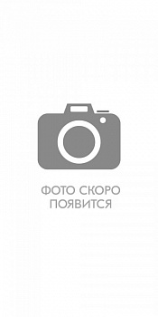 Куртка СИРИУС-ТЕХНО (флис дублированный) черная
